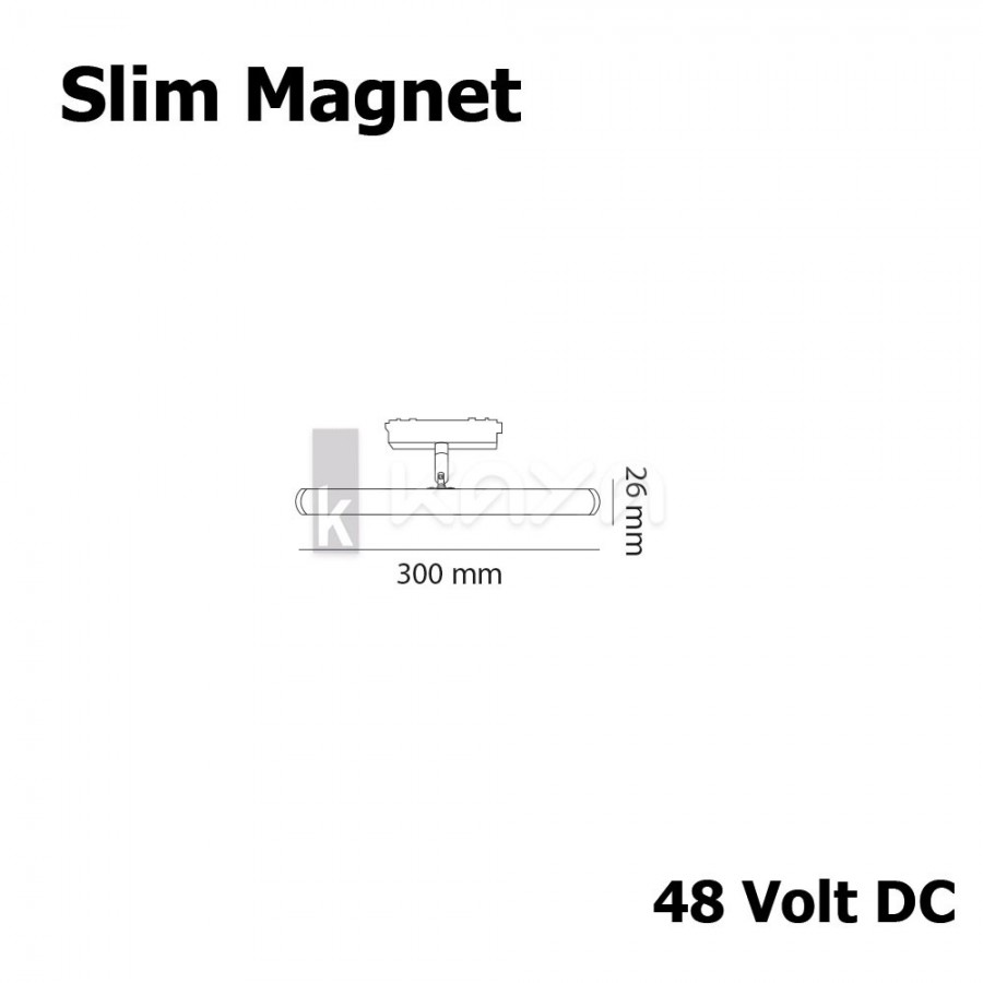 MOLLED  - Mol6074