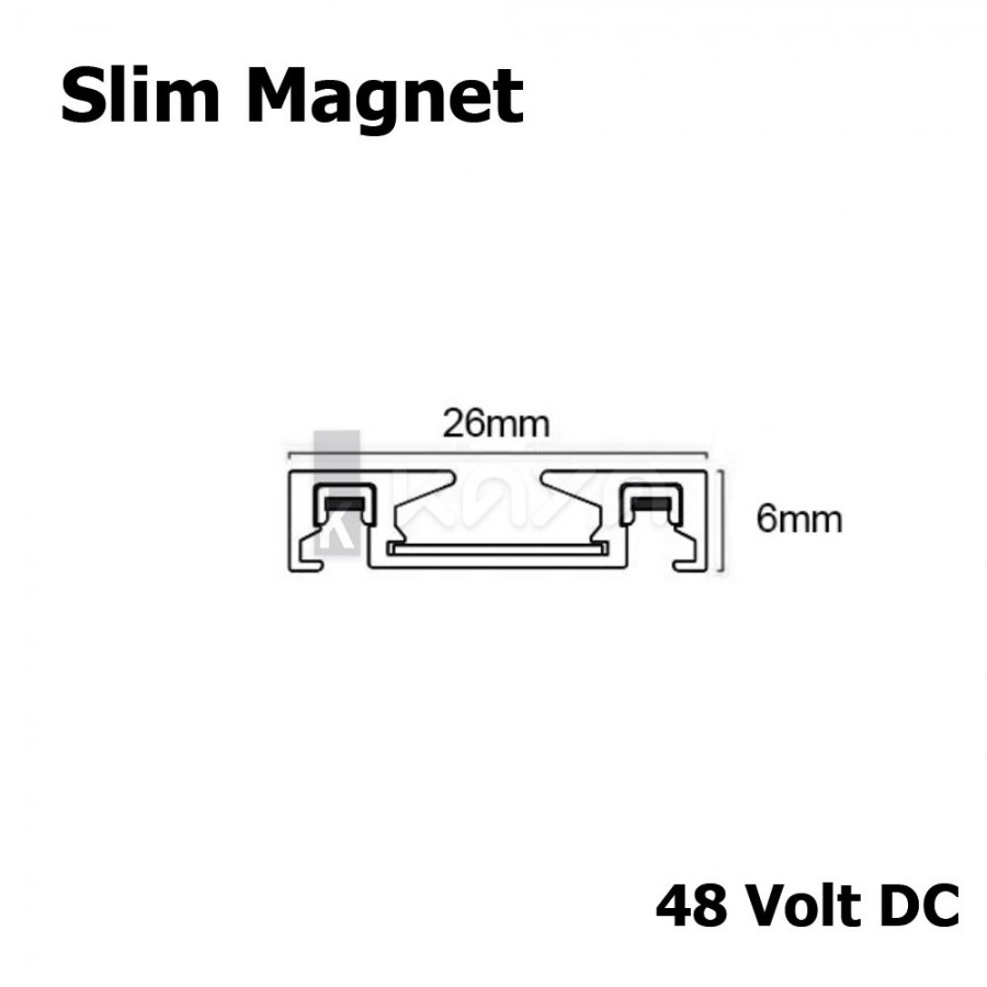 MOLLED  - Mol6043